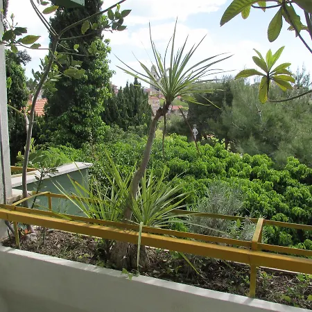 Conchiglia Verde Otel