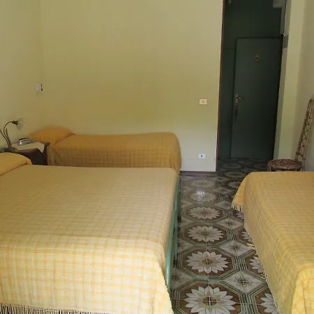 Conchiglia Verde 3*
