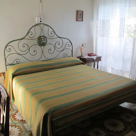 Conchiglia Verde