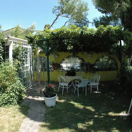 Conchiglia Verde Sirolo